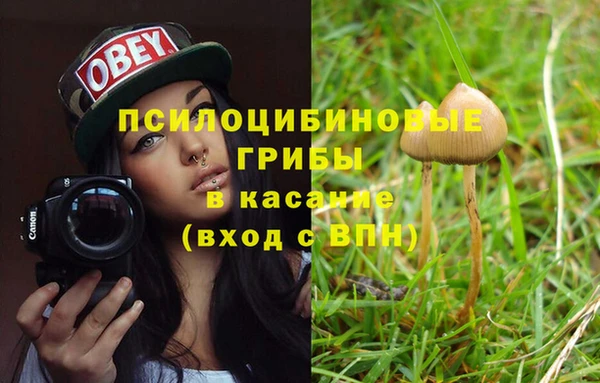 PSILOCYBIN Армянск