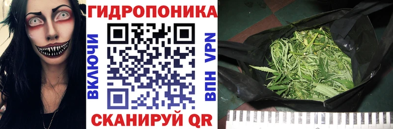 Шишки марихуана VHQ ссылка на мегу маркетплейс Соликамск